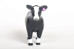 Little Buster Champion Simmental Heifer -Western Cowboy Equipment Store 200873