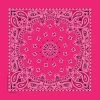 Hot Pink Paisley Bandanna -Western Cowboy Equipment Store b22pai 000039