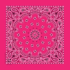 Hot Pink Paisley Bandanna