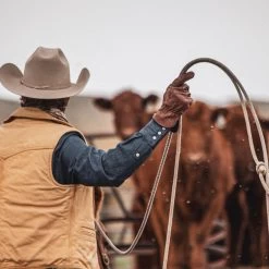 Cowhide Brown Gloves -Western Cowboy Equipment Store brown3 1800x1800 65fe7423 a2ee 4d8a a8b6 2775aad26920