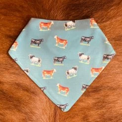 Bred For Success Bandana Drool Bib